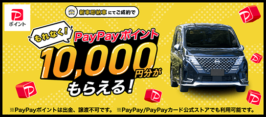 ���ʤ�PayPay�ݥ����1����ʬ����館�롪