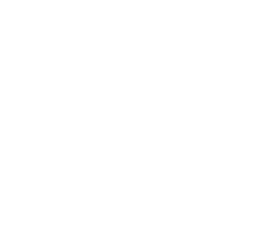 ǺNo.1