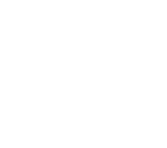 DL800