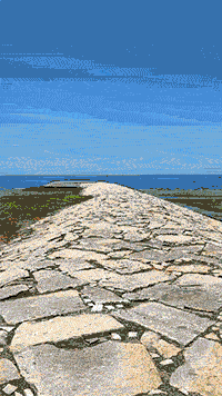 ͷ�֡��������ꥢ�ˤΥ��硼��ư��