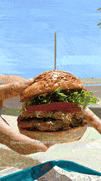 ���٤���������ꥢ�ˤΥ��硼��ư��