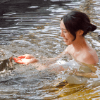 ƻ�岹�� �֤�Ť��μ̿�