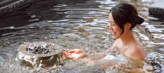 ƻ�岹�� �֤�Ť��μ̿�