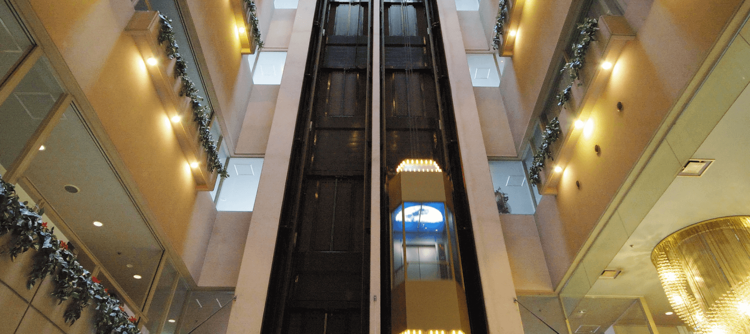 ƻ�岹�� �֤�Ť��μ̿�