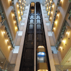 ƻ�岹�� �֤�Ť��μ̿�