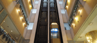 ƻ�岹�� �֤�Ť��μ̿�