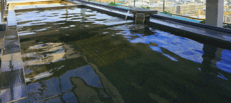 �⾾�ּ������� ͼ�����HOTEL�ּ����μ̿�