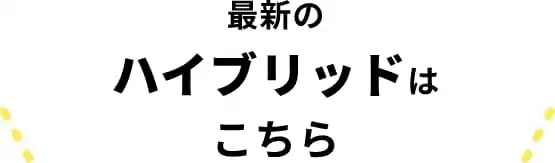 �ǿ��Υϥ��֥�åɤϤ�����