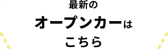 ǿΥץ󥫡Ϥ