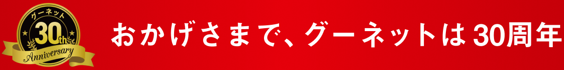 ���������ޤǥ����ͥåȤ�30��ǯ