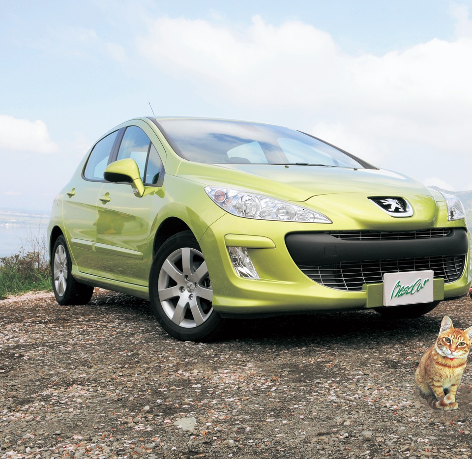 7年ぶりのフルモデルチェンジ！！　より大きくなったワイルドに　プジョー308