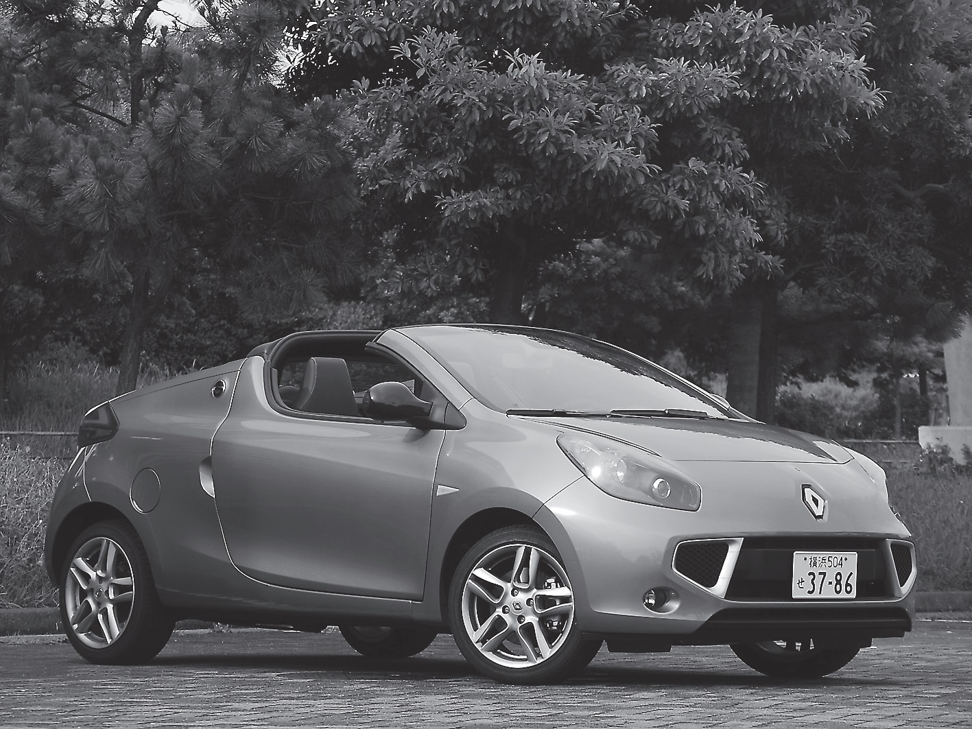 255ߤ㤨륳ѥȥץ󡡥ɤΡо졪