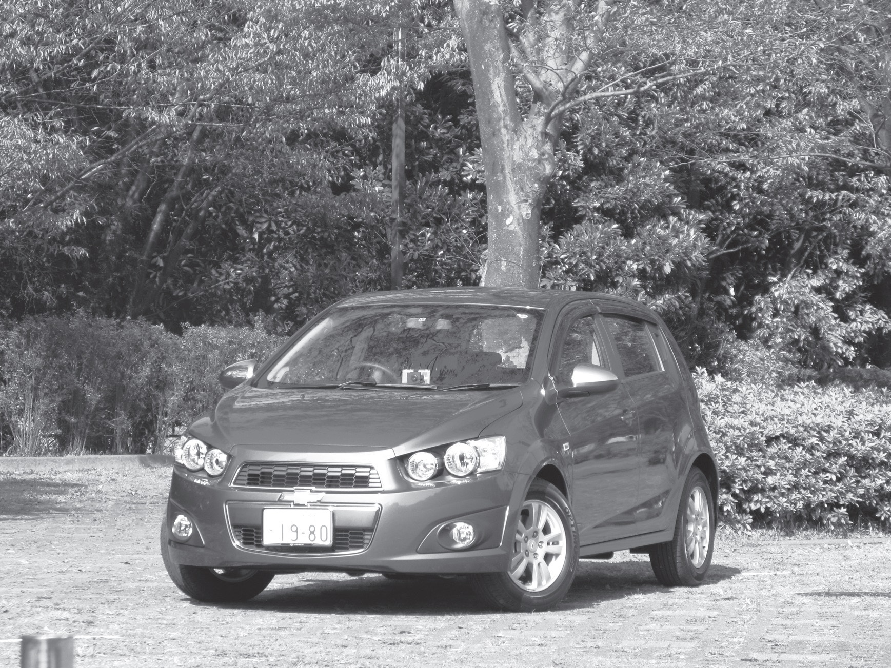 ٸ˺ʤĶŪʥѥȡܥ쎰˥å