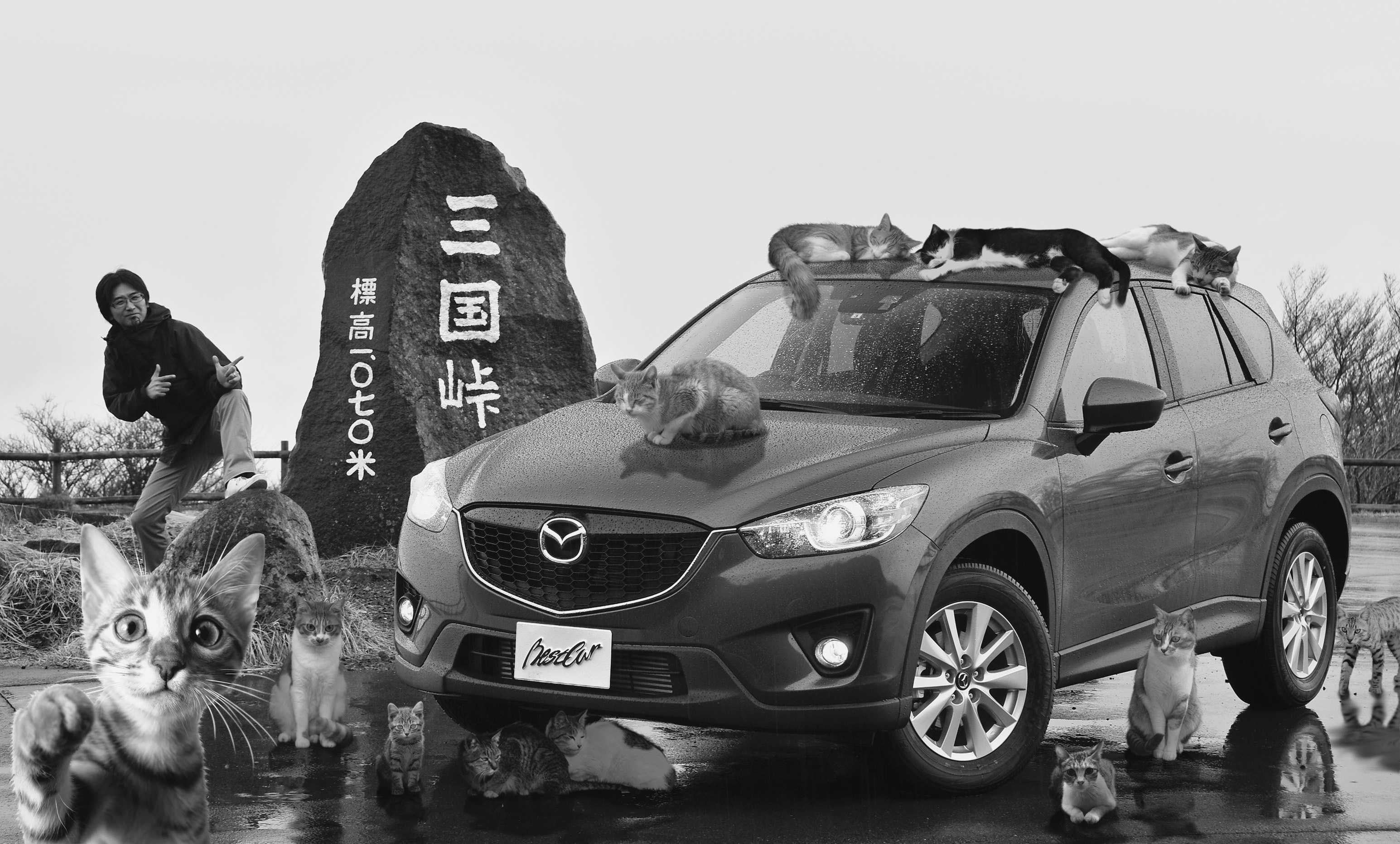 試乗館　最新車に乗りました　ディーゼルよし！ ガソリンよし！　マツダCX-5すこぶるヨシ！