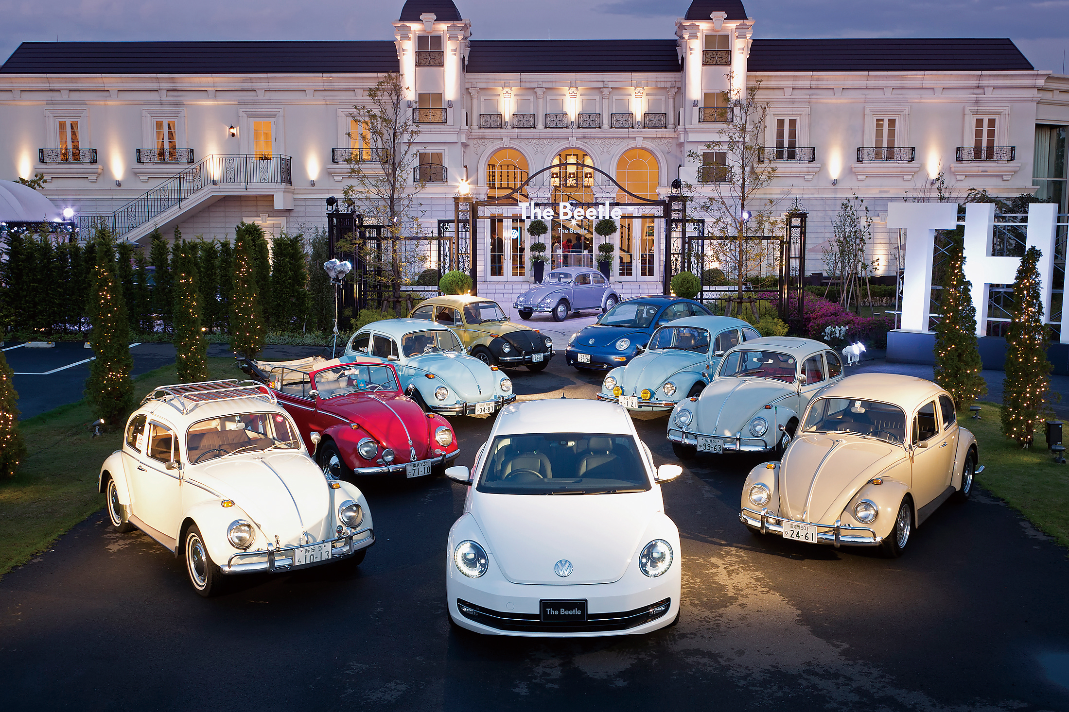 ˤϡܡ21Υ֥ȥॷϥѡӡȥ