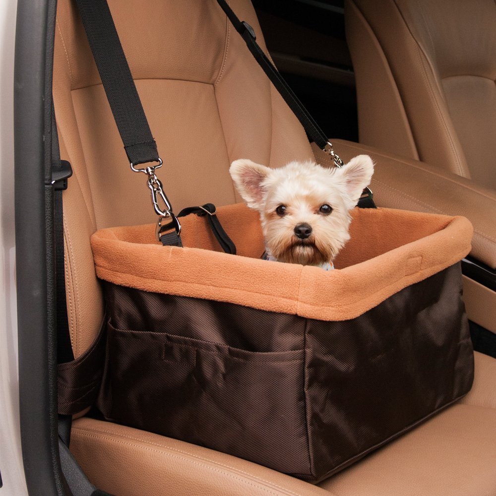 犬連れでドライブへ 犬用おすすめ便利グッズと車移動の注意点 中古車なら グーネット
