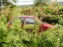 車のエアコンから水漏れ 焦る前に原因を確かめて適切に対処しよう 中古車なら グーネット