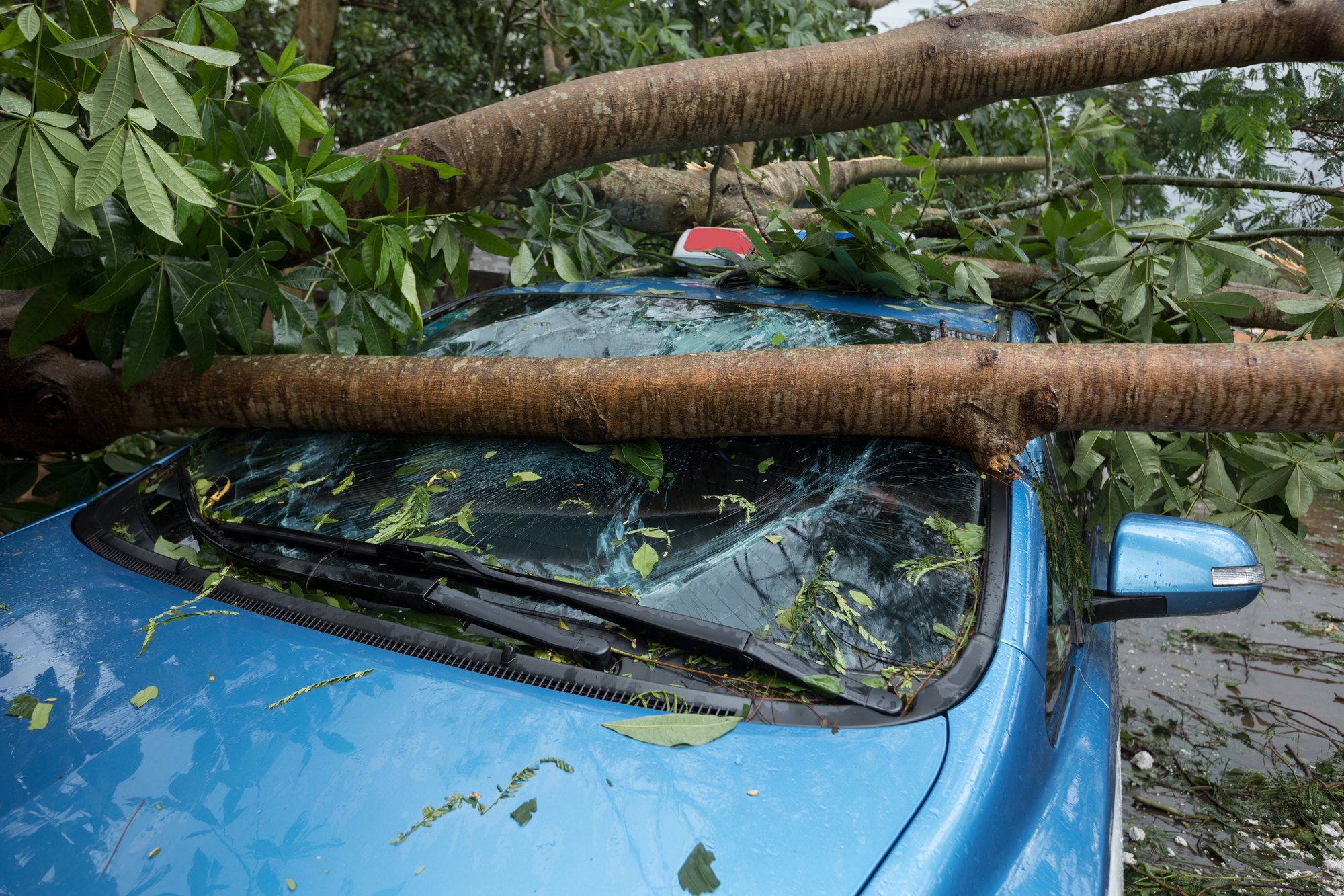 台風の際にフロントガラスを守るための対策とは 破損防止方法などを解説 中古車なら グーネット