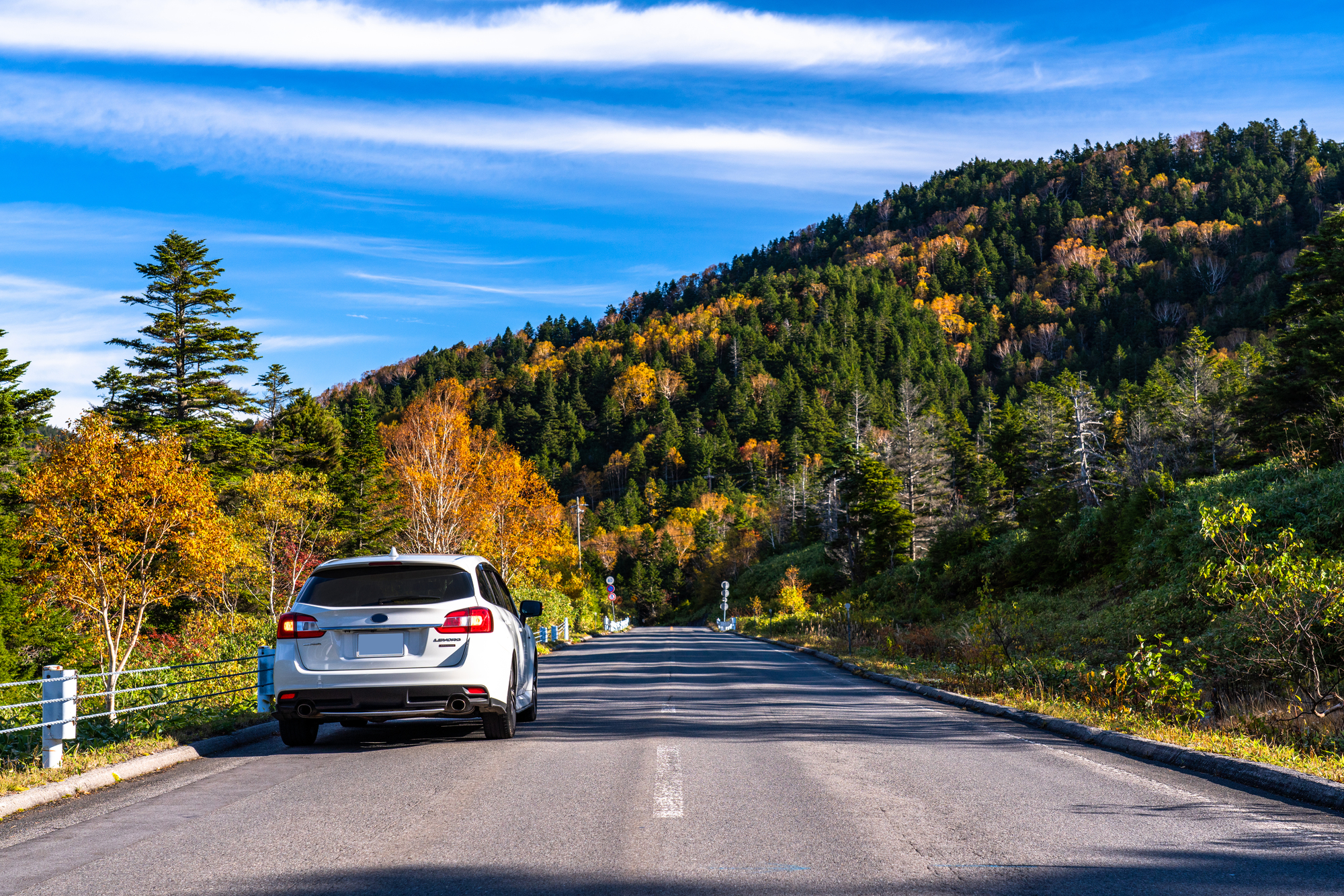 秋の行楽シーズンにおすすめ！ドライブスポットは紅葉で決まり！