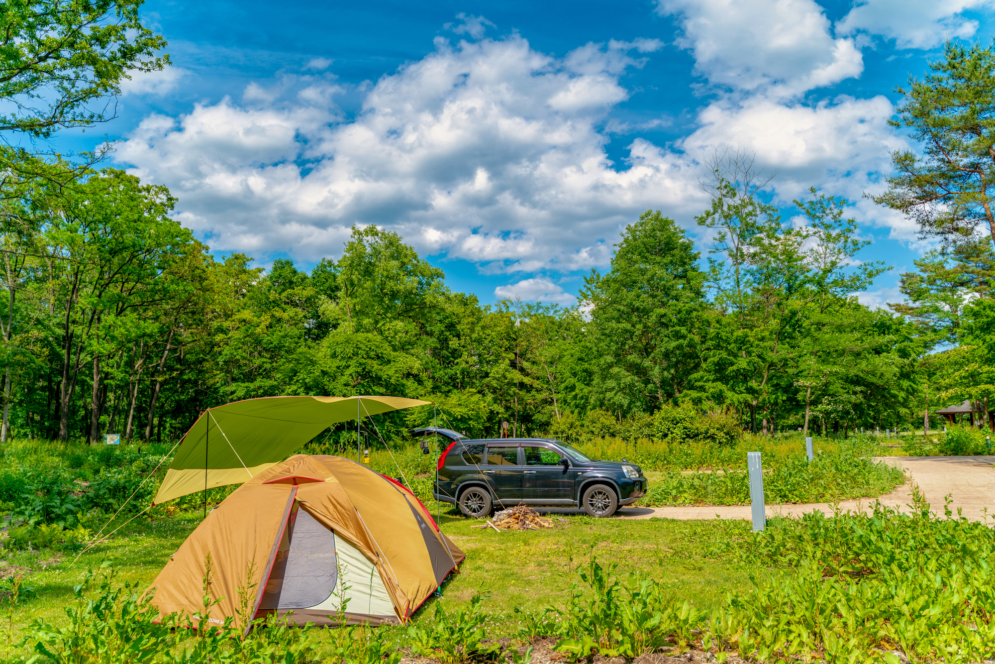車中泊ソロキャンプの魅力とは おすすめキャンプ用品と注意点を解説 中古車なら グーネット