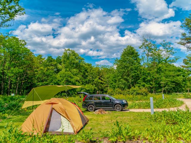 車中泊ソロキャンプの魅力とは おすすめキャンプ用品と注意点を解説 中古車なら グーネット