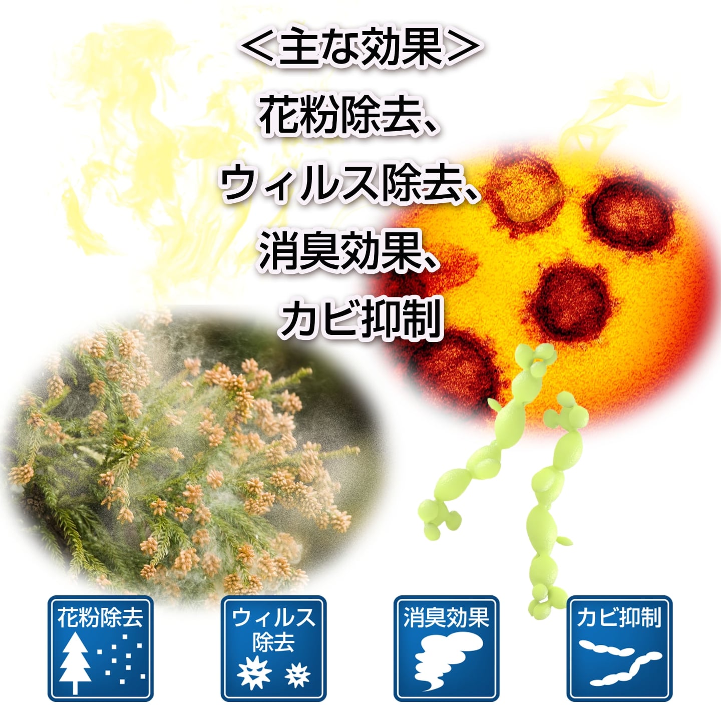 主な効果と効能イメージ