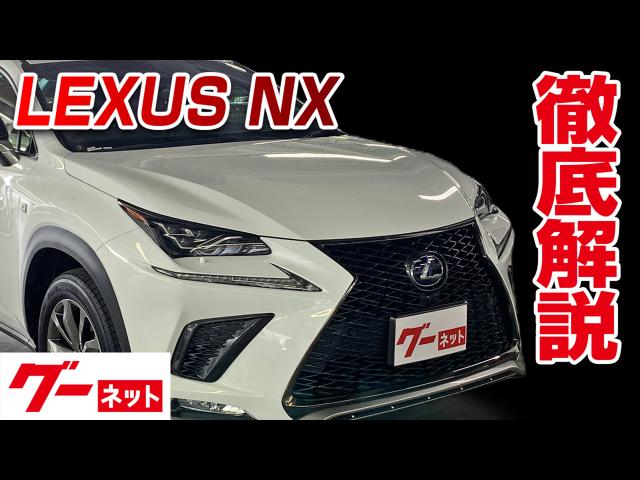 【レクサス NX】10系 NX300h Fスポーツ グーネット動画カタログ