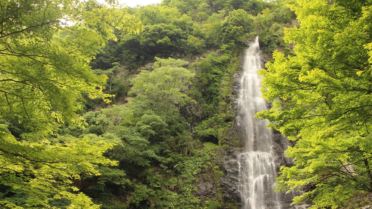 兵庫・天滝 兵庫県一の名瀑にして、日本屈指の森林浴場としても知られる