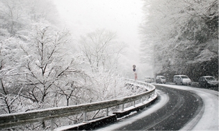 なぜ「4WD」がオススメなのか？