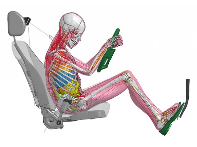 【トヨタ】改良した人体モデルTHUMS Version 5を発売