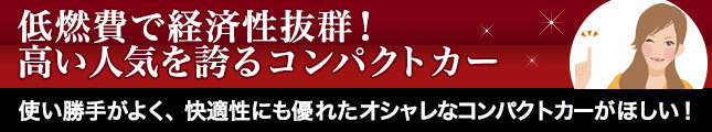 低燃費で経済性抜群!高い人気を誇るコンパクトカー