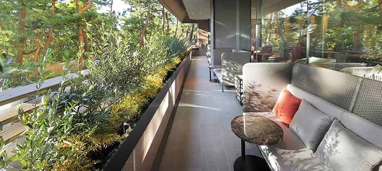 鴨川温泉 鴨川館の写真