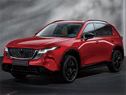 Ĥ˽ ޥĥ CX-5