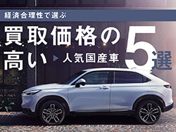 ���ʤ�������ʤ�!?�кѹ����������֡��񻺿���5��ǥ�