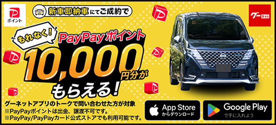 �����ͥå���ż֥��ץ�