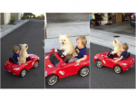 完全自動運転にも負けない!?　天才犬がキッズカーを華麗にドライブ？