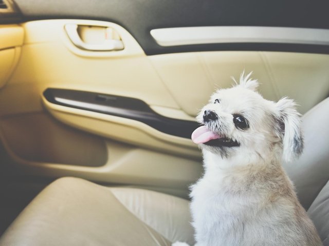 ڥƥκݤβ٤ݤġ֥ӥ󥪡Сҡ ץƥפȤ