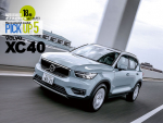 【VOLVO XC40】厳選オススメモデルはこれだ！【PICK UP5】