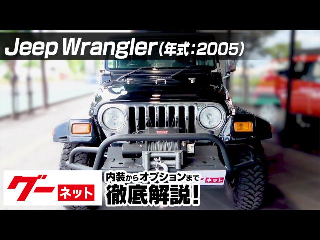 Jeep Wrangler ͥåư襫