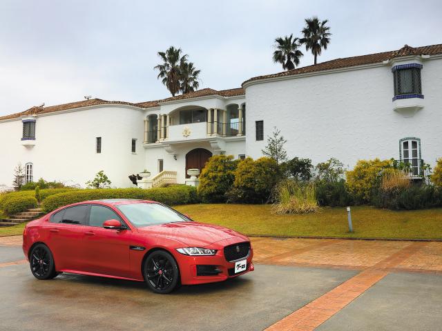 Ҥ̣㤦ɥ˾ꤿ֥͢󥷥른