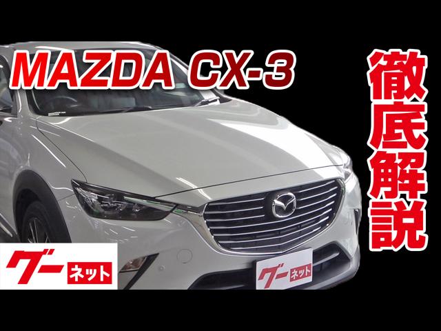 ڥޥĥ CX-3DK XDġ ͥåư襫