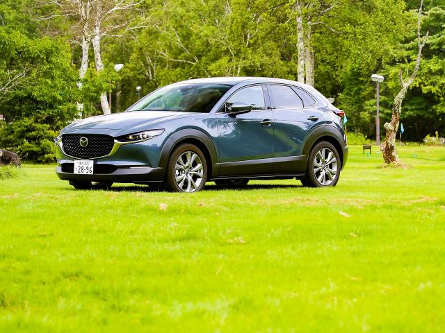 ڻݡ ޥĥ CX-30ۥ󥰥ɥ饤֤Ǹ̥