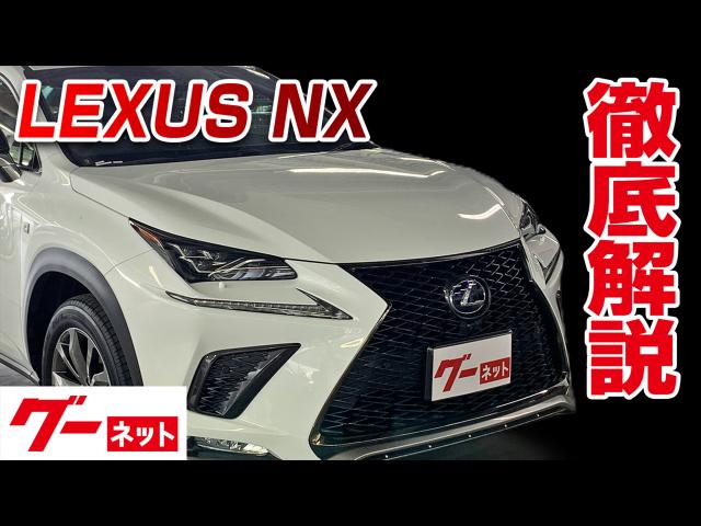 ڥ쥯 NX10 NX300h Fݡ ͥåư襫