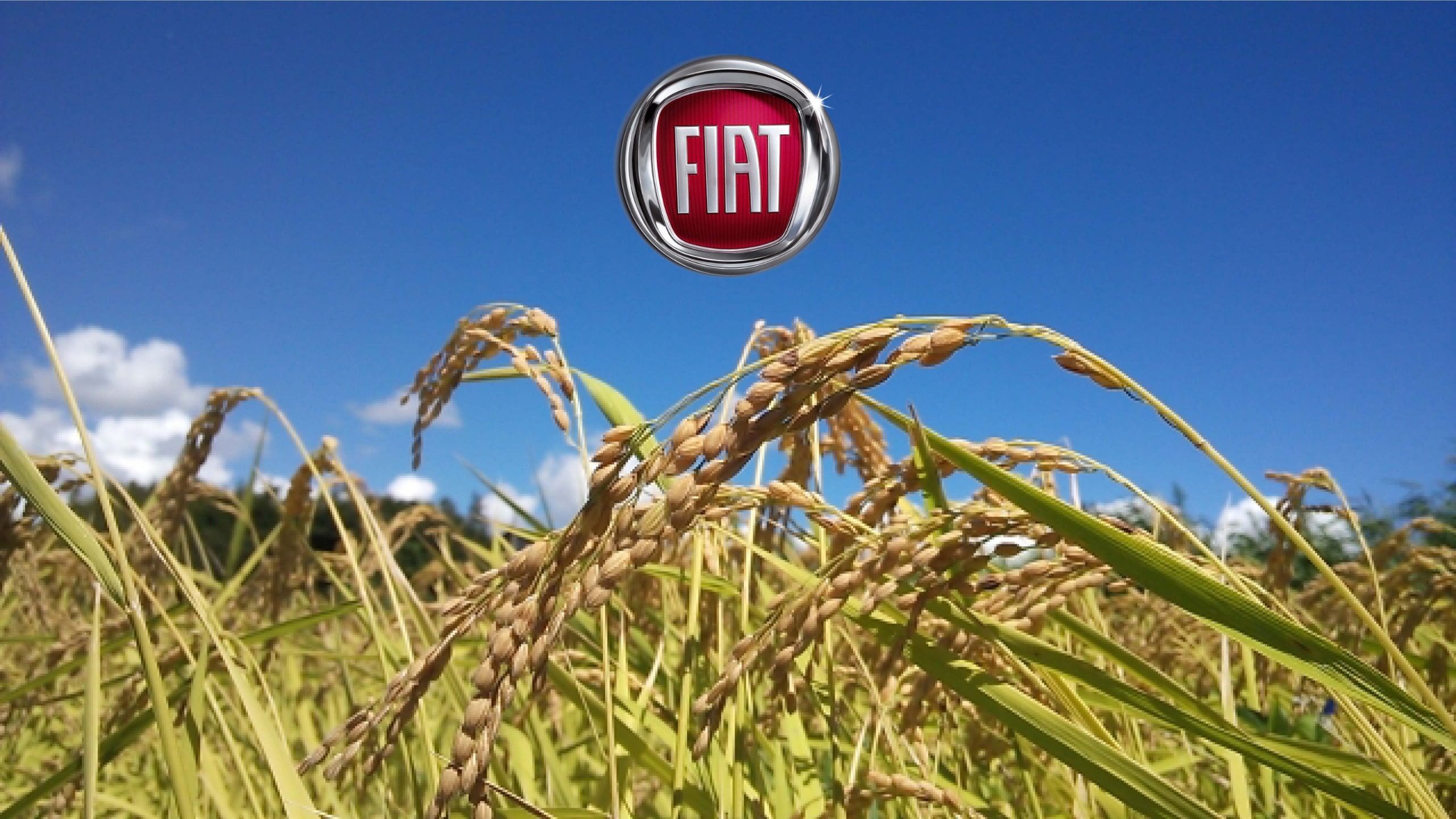 「FIAT Agri Art Project」
