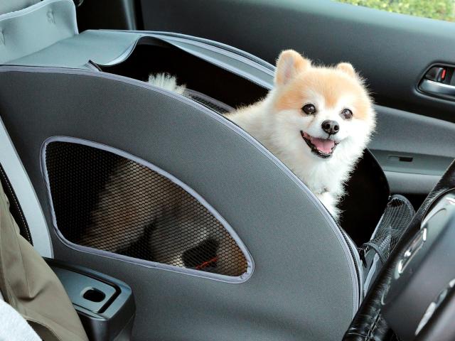 ホンダ純正 愛犬用カーアクセサリーに新アイテム登場！「Honda Dogシリーズ」 | 中古車なら【グーネット】