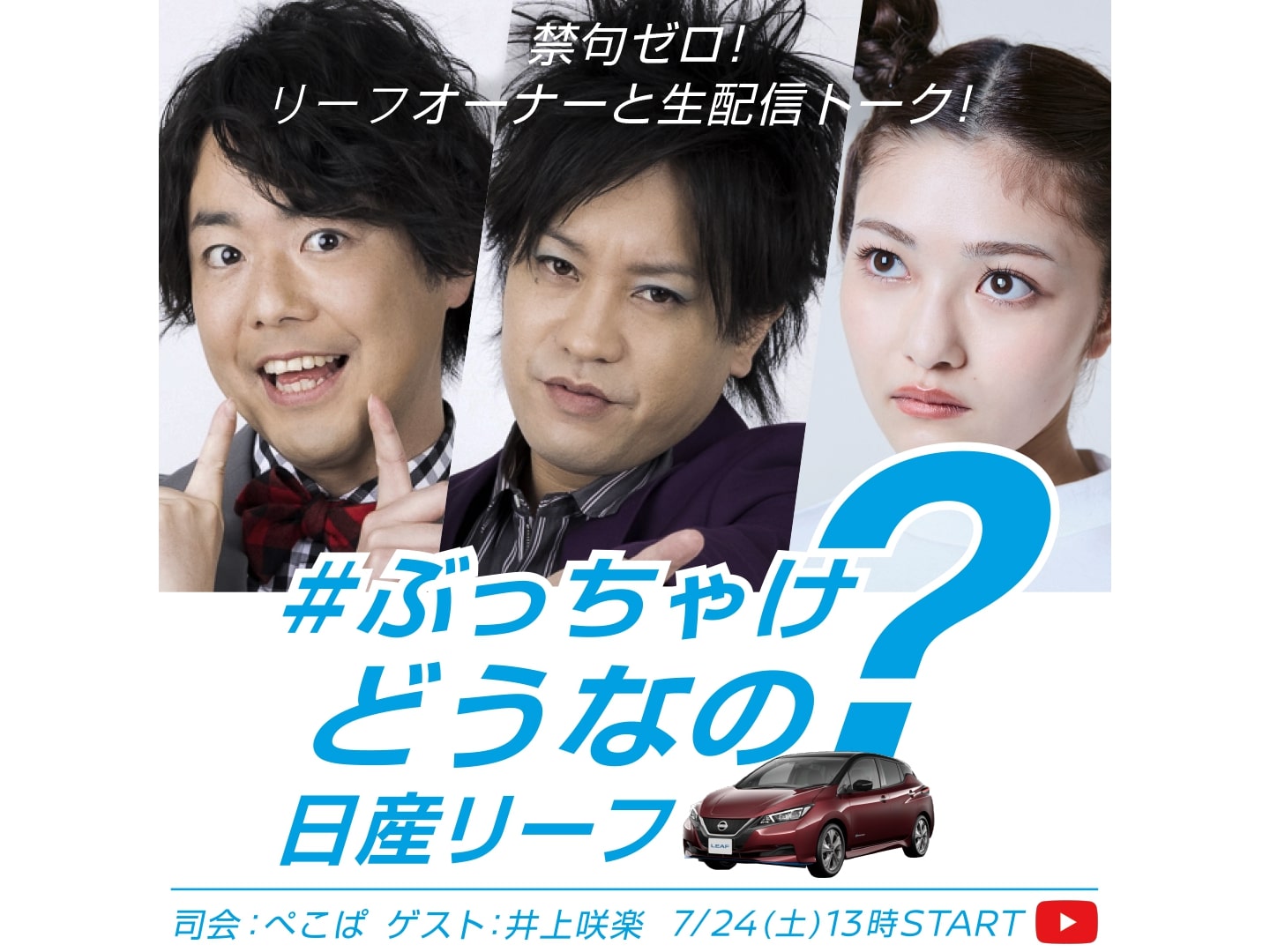 #ぶっちゃけどうなの日産リーフ