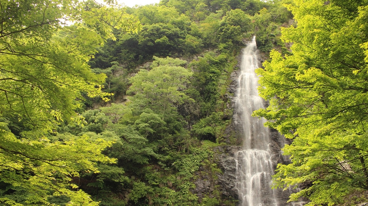 兵庫・天滝　兵庫県一の名瀑にして、日本屈指の森林浴場としても知られる