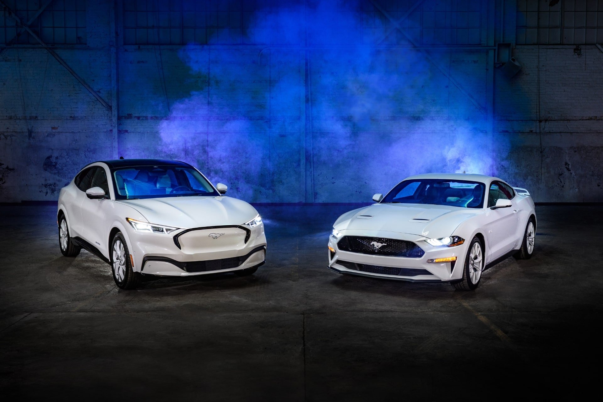 フォード　マスタング アイスホワイト・エディション（写真左：マスタング マッハE、同右：マスタング クーペ）
