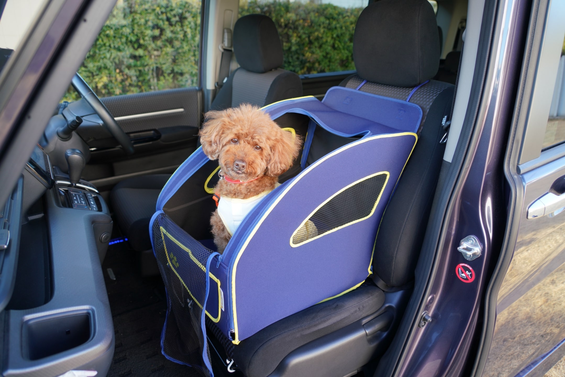 N-BOX 愛犬とのおでかけ、アウトドアVer.(純正アクセサリー装着車)イメージ