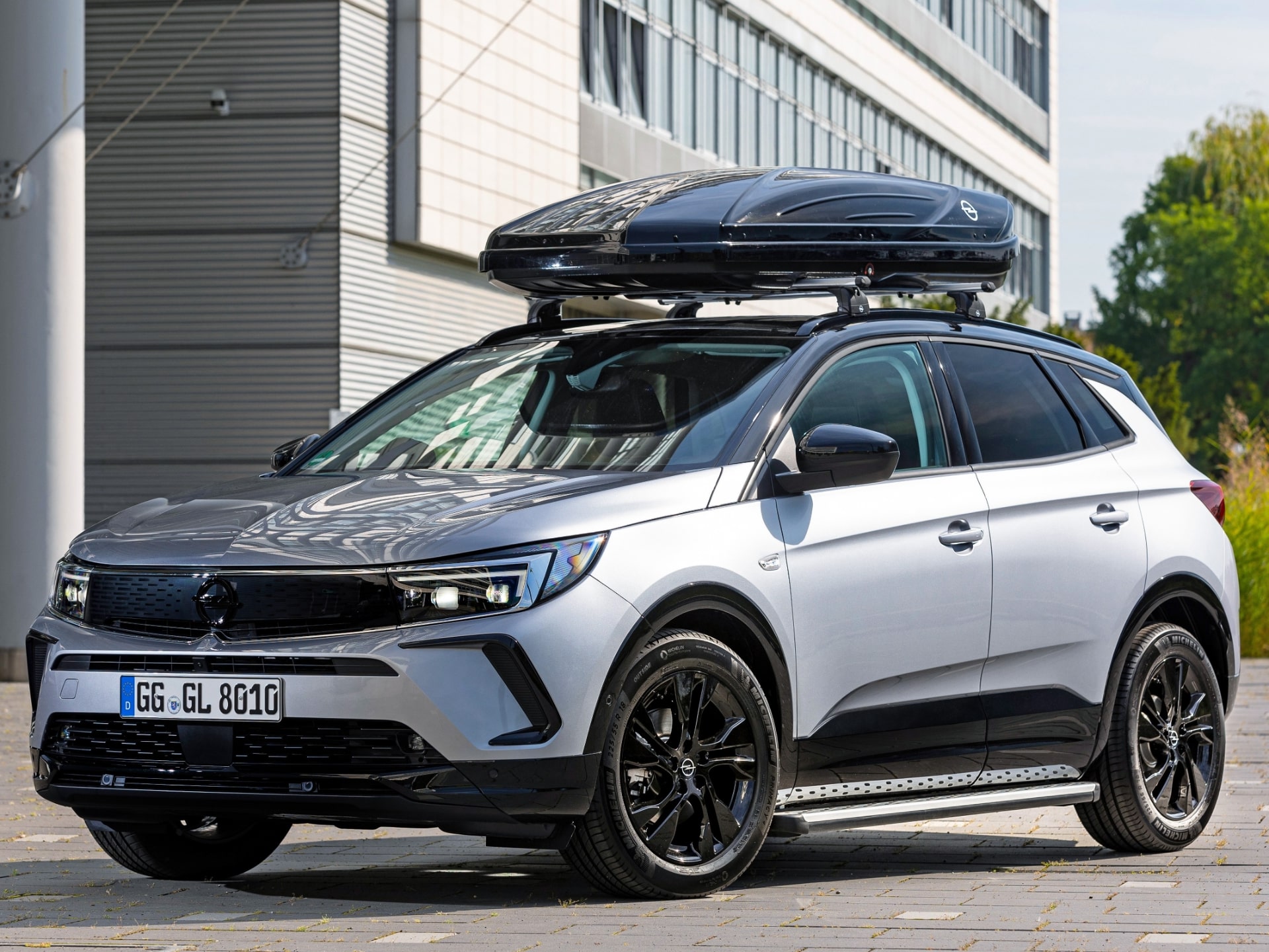 ڥ ɥɤ˥ꥸʥ륢꡼ȯɽ